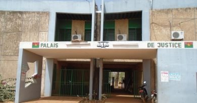 Bobo Dioulasso : l'ex directeur de l’audit interne de contrôle de gestion de la Sofitex condamné à 12 ans de prison fermes pour "vente illicite d'intrants" (sidwaya)