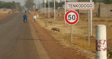 Série de meurtres à Tenkodogo