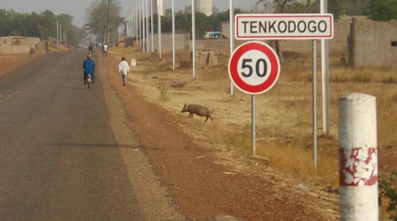 Série de meurtres à Tenkodogo