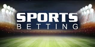 Exploring the World of Zaka Bet The Online Betting Revolution