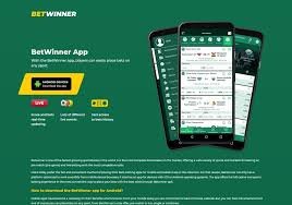 The Evolution of Sports Betting Trends and Insights in 2023 The Evolution of Sports Betting Trends and Insights in 2023