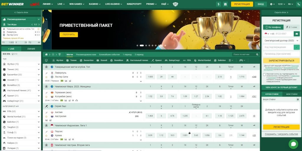 Understanding Your Account BetWinner France Understanding Your Account BetWinner France