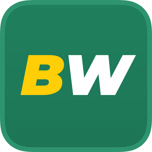 Understanding Your Account BetWinner France Understanding Your Account BetWinner France